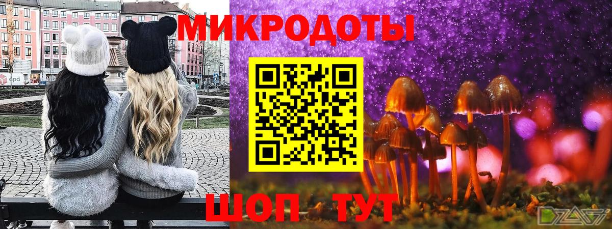 Псилоцибиновые грибы Psilocybine cubensis Кубинка