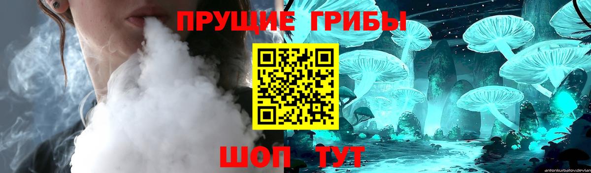 где купить наркоту  Псилоцибиновые грибы GOLDEN TEACHER  Вход с VPN  Кубинка 